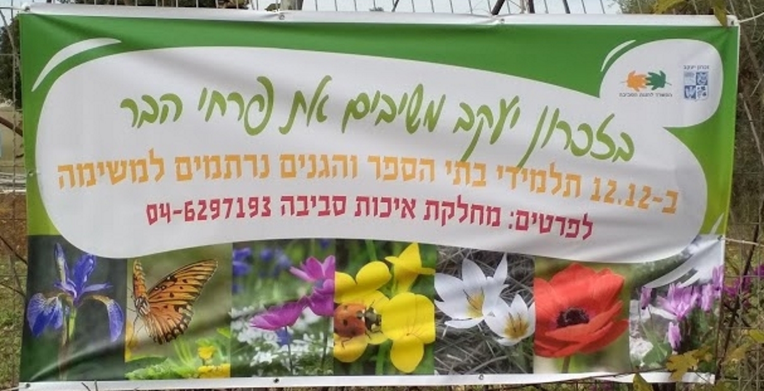 הצלת פקעות עדי ברזון